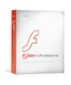 Imagen representativa de Flash