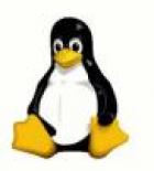 Imagen representativa de Linux